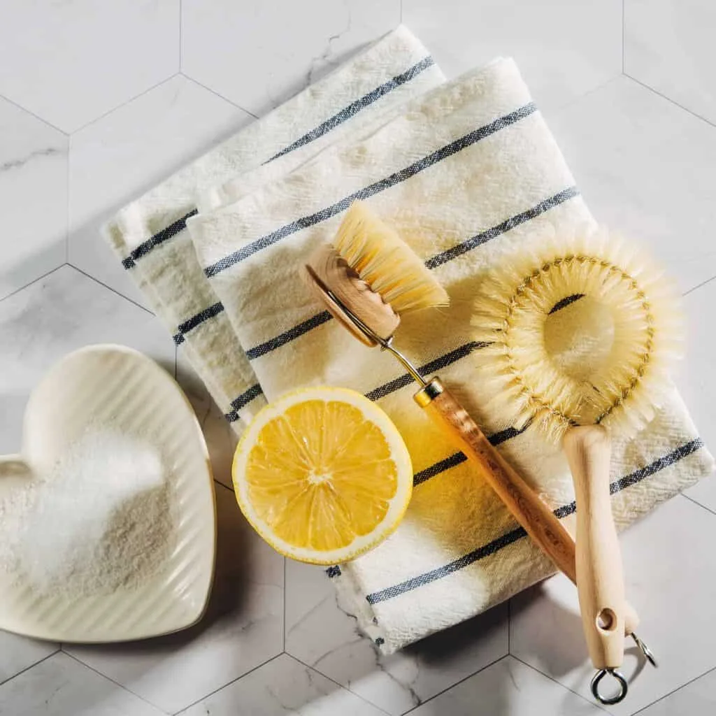 non-toxic living tips