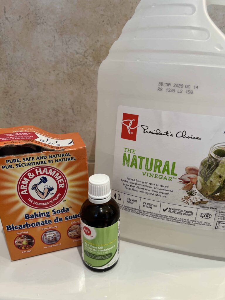 DIY toilet bowl cleaner