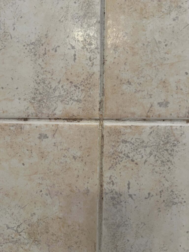 homemade natural tile and grout cleaner