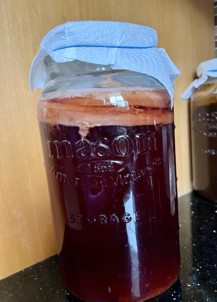 Homemade kombucha