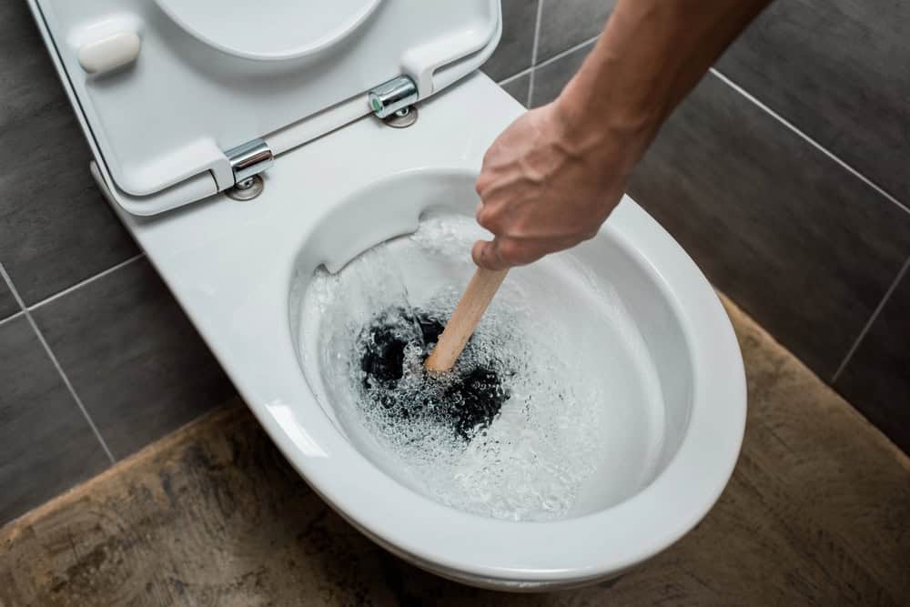 Non-Toxic Toilet Bowel Cleaner